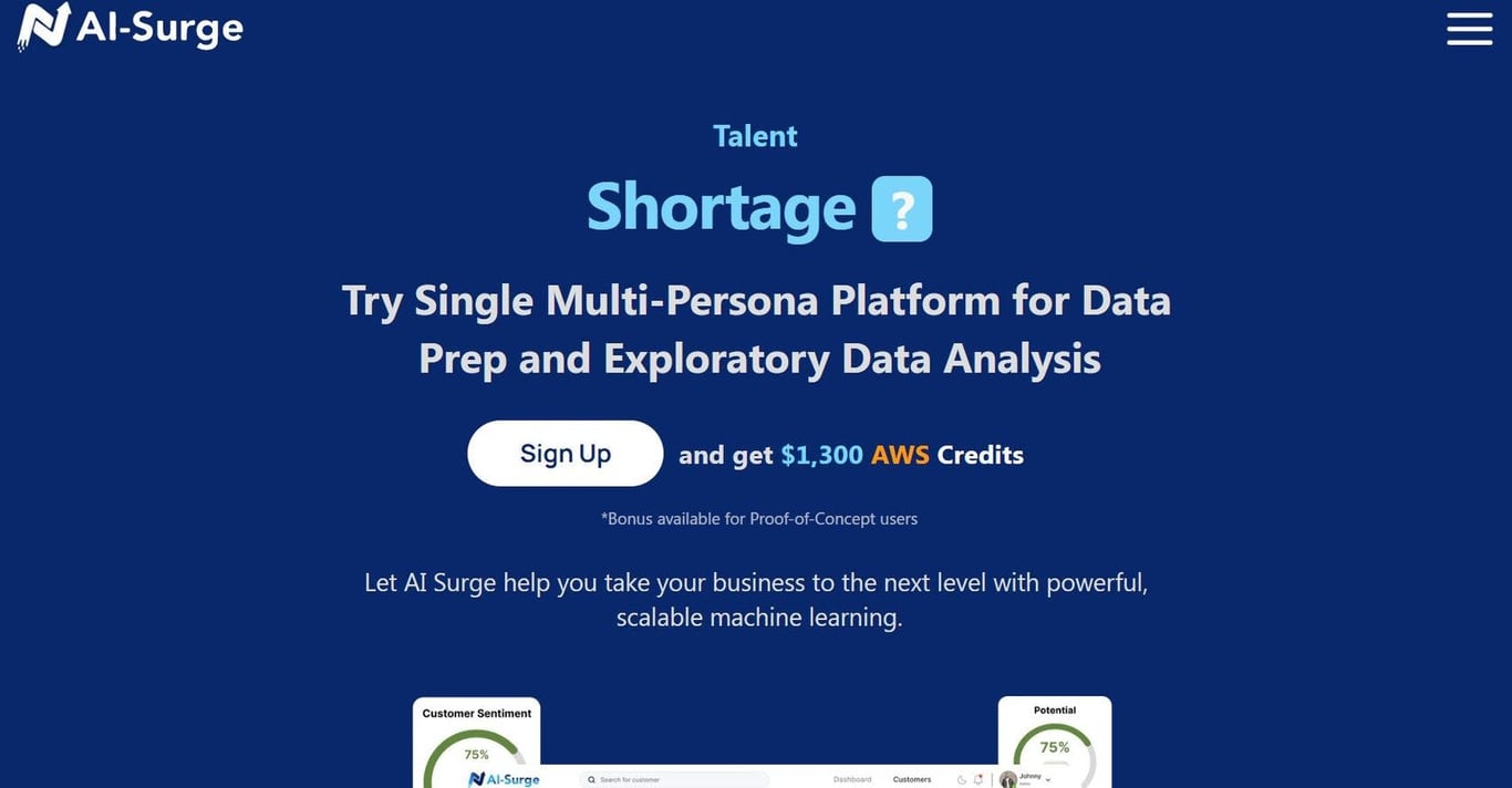 AI Surge Cloud company image